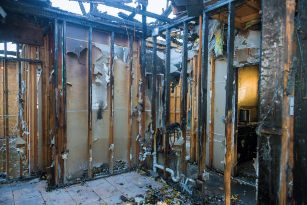 Professional Fire Damage Removal technician working in Perezville, TX